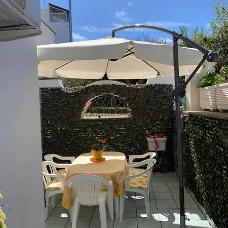 Delizioso Girasole איסקיה