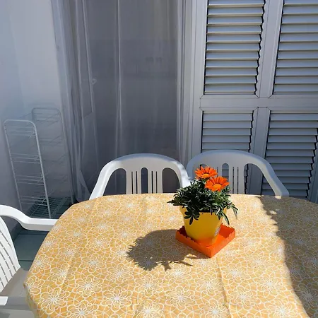 Delizioso Girasole * איסקיה