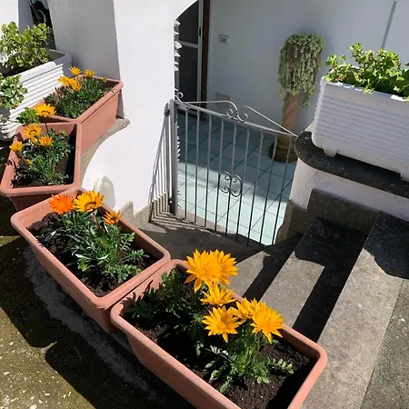 דירה Delizioso Girasole