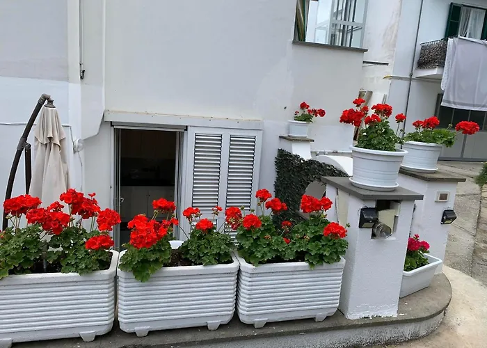 Appartement Delizioso Girasole *